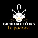 Logo of the podcast Papotages félins Podcast Papotages félins
