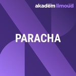 Logo of the podcast Paracha de la semaine 5786 Podcast Paracha de la semaine 5786