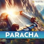 Logo of the podcast Paracha Podcast Paracha