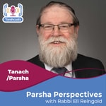 Parsha Perspectives