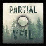 Partial Veil Partial Veil