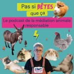 Pas si bêtes que ça Podcast Pas si bêtes que ça