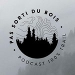 Pas sorti du bois