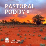 Logo of the podcast Pastoral Poddy - Australian Farming Podcast Pastoral Poddy - Australian Farming