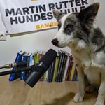 Logo of the podcast Pawcast - Der Podcast der Martin Rütter Hundeschule Bamberg Podcast Pawcast - Der Podcast der Martin Rütter Hundeschule Bamberg
