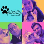 Logo of the podcast Pawplexity Pawdcast Podcast Pawplexity Pawdcast