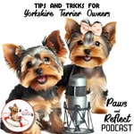 Podcast Paws and Reflect - About Yorkies