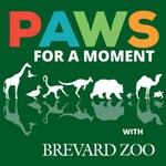 Logo of the podcast Paws for a Moment Podcast Paws for a Moment