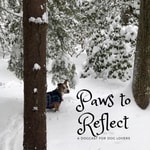Logo of the podcast Paws To Reflect Podcast Paws To Reflect
