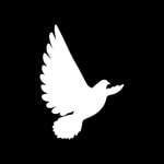 Logo of the podcast Peacemakers Podcast Peacemakers