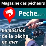 Logo of the podcast Pêche en mer Podcast Pêche en mer
