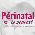 Logo of the podcast Périnatal, le podcast des professionnels de la périnatalité Podcast Périnatal, le podcast des professionnels de la périnatalité