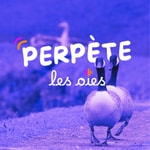 Logo of the podcast Perpète les oies Podcast Perpète les oies