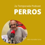 Logo of the podcast PERROS Podcast PERROS