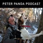 Logo of the podcast Peter Panda Podcast Podcast Peter Panda Podcast