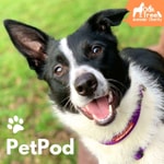 Logo of the podcast PetPod Podcast PetPod