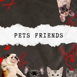 Pets Friends | Consejos, Información y Cuidado de tus fieles compañeros