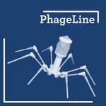Logo of the podcast PhageLine Podcast PhageLine