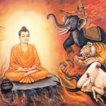 Logo of the podcast Pháp Âm Phật Giáo Podcast Pháp Âm Phật Giáo