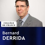 Logo of the podcast Physique statistique - Bernard Derrida Podcast Physique statistique - Bernard Derrida