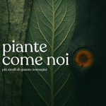 Piante come noi Podcast Piante come noi