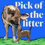 Logo of the podcast Pick of the Litter Podcast