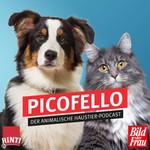 Logo of the podcast Picofello – der animalische Haustier-Podcast Podcast Picofello – der animalische Haustier-Podcast