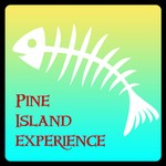 Logo of the podcast Pine Island Experience Podcast Pine Island Experience