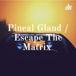 Logo of the podcast Pineal Gland / Escape The Matrix Podcast Pineal Gland / Escape The Matrix