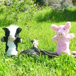 Logo of the podcast Pinkie The Pig Podcast Podcast Pinkie The Pig Podcast