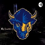 Logo of the podcast Pioneer News Podcast Pioneer News