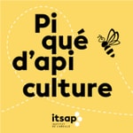 Logo of the podcast Piqué d'apiculture Podcast Piqué d'apiculture