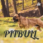 Logo of the podcast PITBULL Podcast PITBULL