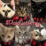 Logo of the podcast #PlaidCatArmy Podcast #PlaidCatArmy