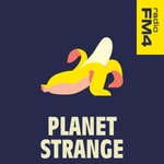 Logo of the podcast Geld verstehen - was dir niemand über Geld beigebracht hat Podcast Geld verstehen - was dir niemand über Geld beigebracht hat