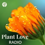 Logo of the podcast Plant Love Radio Podcast Plant Love Radio