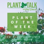 Logo of the podcast Plant Of The Week Podcast Plant Of The Week