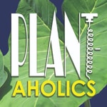 Logo of the podcast Plantaholics Podcast Podcast Plantaholics Podcast