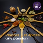 Podcast Plantes Et Épices