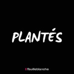 Plantés Podcast Plantés