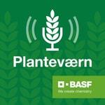 Logo of the podcast Planteværn Logo of the podcast Planteværn