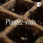 Logo of the podcast Plantez-vous Podcast Plantez-vous
