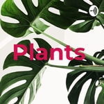 Logo of the podcast Plants Podcast Plants