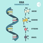 Logo of the podcast Podcast - 8005, 8032, 8039 (RNA & its Evolution) Podcast Podcast - 8005, 8032, 8039 (RNA & its Evolution)
