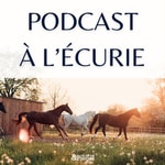 Podcast à l'écurie Podcast à l'écurie