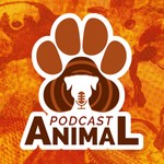 Podcast Animal Podcast Podcast Animal
