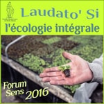 Logo of the podcast Podcast Domini - Laudato Si : l'écologie intégrale Podcast Podcast Domini - Laudato Si : l'écologie intégrale