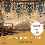 Logo of the podcast Podcast Domini - L'Esprit-Saint, le divin méconnu Podcast Podcast Domini - L'Esprit-Saint, le divin méconnu