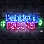 Logo of the podcast Podcast Académique Podcast Podcast Académique