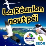 Logo of the podcast Podcast SEOR - La Réunion nout péi Podcast Podcast SEOR - La Réunion nout péi